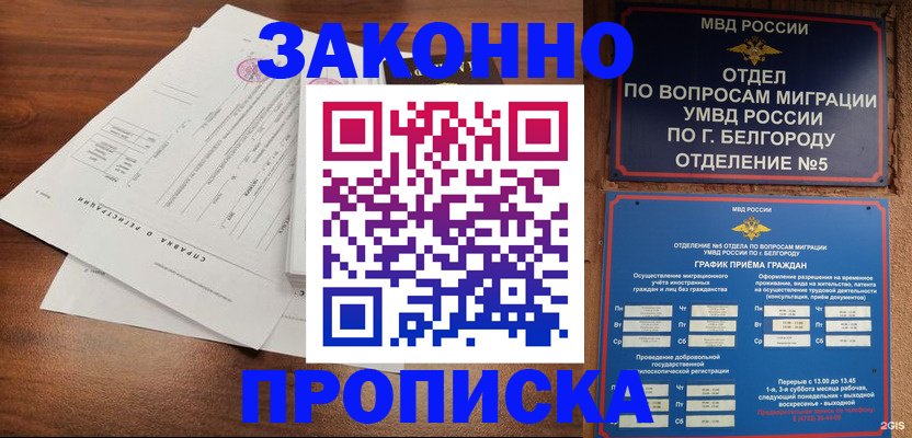 прописка в Шали